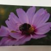 Postkarten-Set Blumen – Bild 5