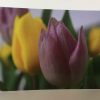 Postkarten-Set Blumen – Bild 6