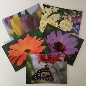 Postkarten-Set Blumen