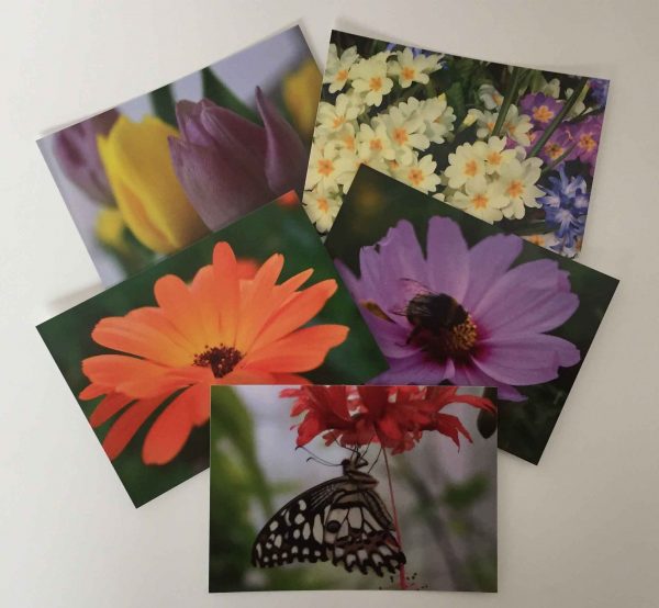 Postkarten-Set Blumen