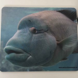 Mousepad Motiv Fisch grau-blau