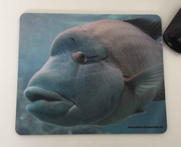 Mousepad Motiv Fisch grau-blau