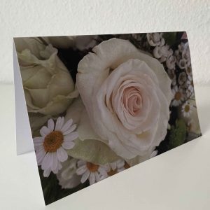 Grusskarte Blume Rose weiss